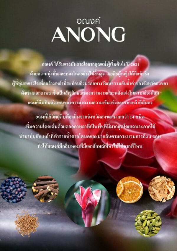 แรงบันดาลใจของอณงค์ Anong