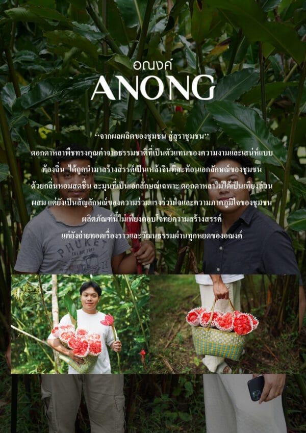 ความเป็นมา อณงค์ Anong