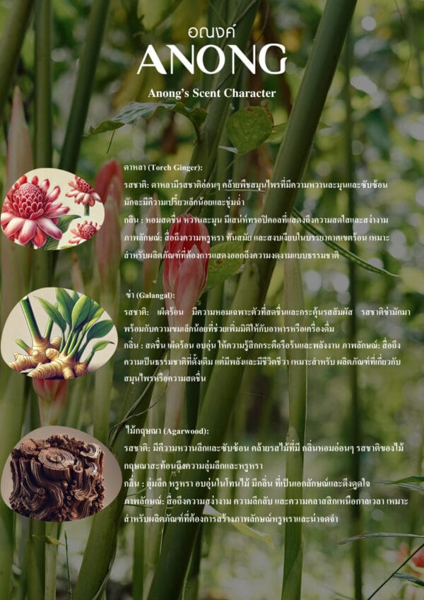 ส่วนผสม อณงค์ Anong Anong